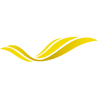 Voepass Linhas Aéreas (2Z)