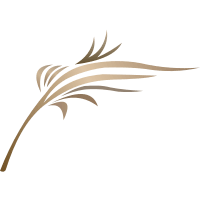 SaudiGulf Airlines (6S)