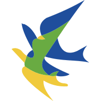 Air Juan Aviation (AO)