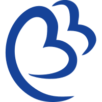 Blue Bird Airways (BZ)