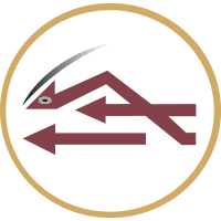 Libyan Airlines (LN)