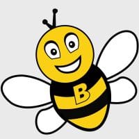 Buzz (Ryanair) (RYS)