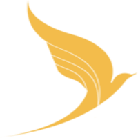 Varesh Airline (VRH)