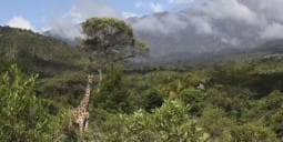 Flights Arusha to Burundi