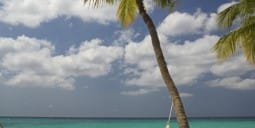 Flights Qatar to Aruba