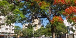 Flights Qatar to Beira