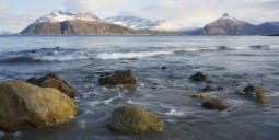 Flights Qatar to Bodo