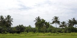 Flights Conakry to Guinea-Bissau