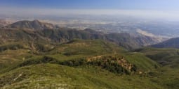 Flights Cali to Antofagasta