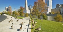 Flights Columbus to Ethiopia