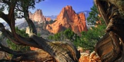 Flights Qatar to Colorado Springs