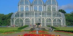 Flights Qatar to Curitiba