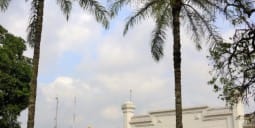 Flights Douala to Gabon