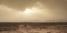 Flights Qatar to Hassi Messaoud