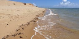 Flights Qatar to Inhambane