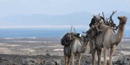 Flights Djibouti to Hargeisa