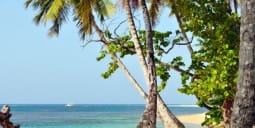 Flights Qatar to Launceston