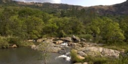 Flights Manzini to Kasane