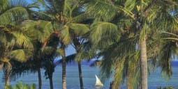 Flights Qatar to Pemba