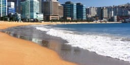 Flights Qatar to Busan