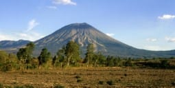 Flights Qatar to San Salvador