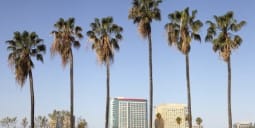 Flights San Jose to Erbil