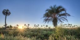 Flights Salta to Mendoza