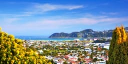 Flights Qatar to Wellington