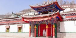 Flights Qatar to Xining