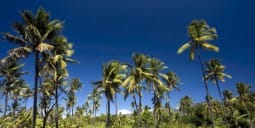 Flights Qatar to Moroni